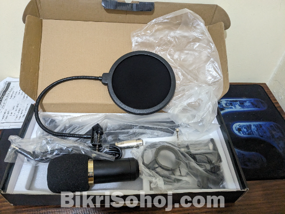 BM - 800 Microphone